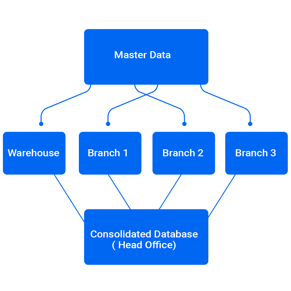 Offline Master data process for multi branches.